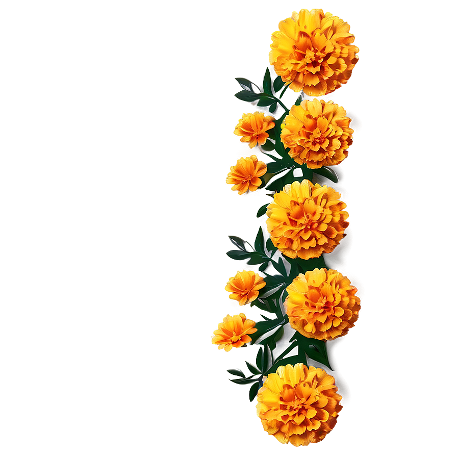 Marigold Festive Decoration Png Fyl PNG Image