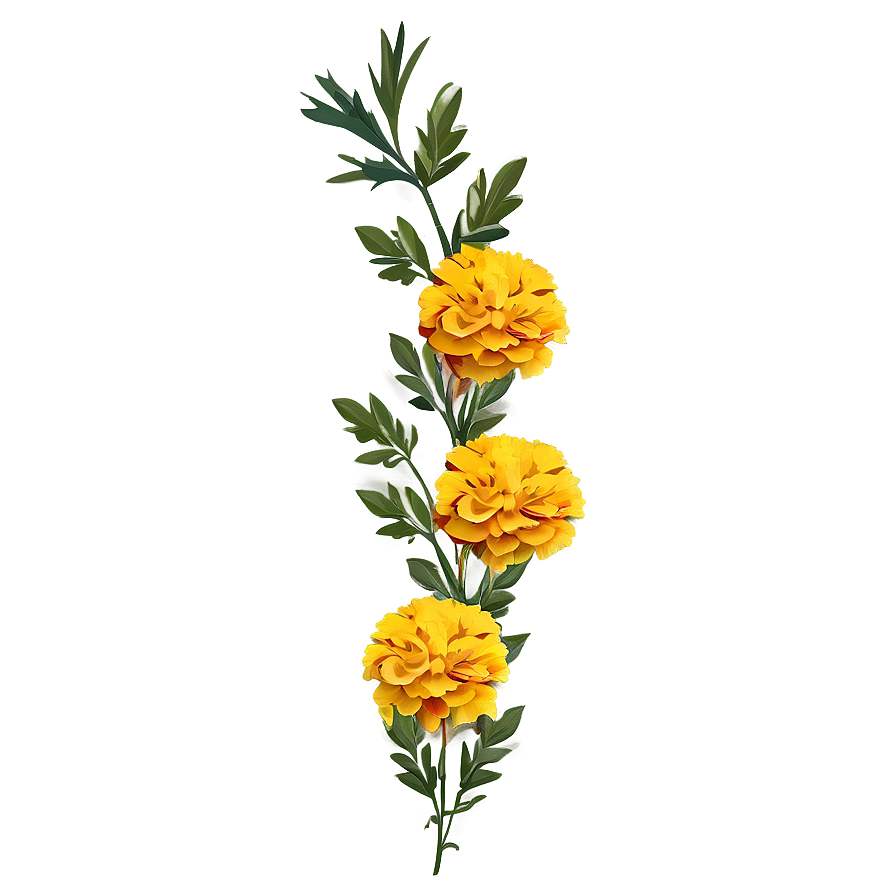 Marigold Floral Border Png 06112024 PNG Image