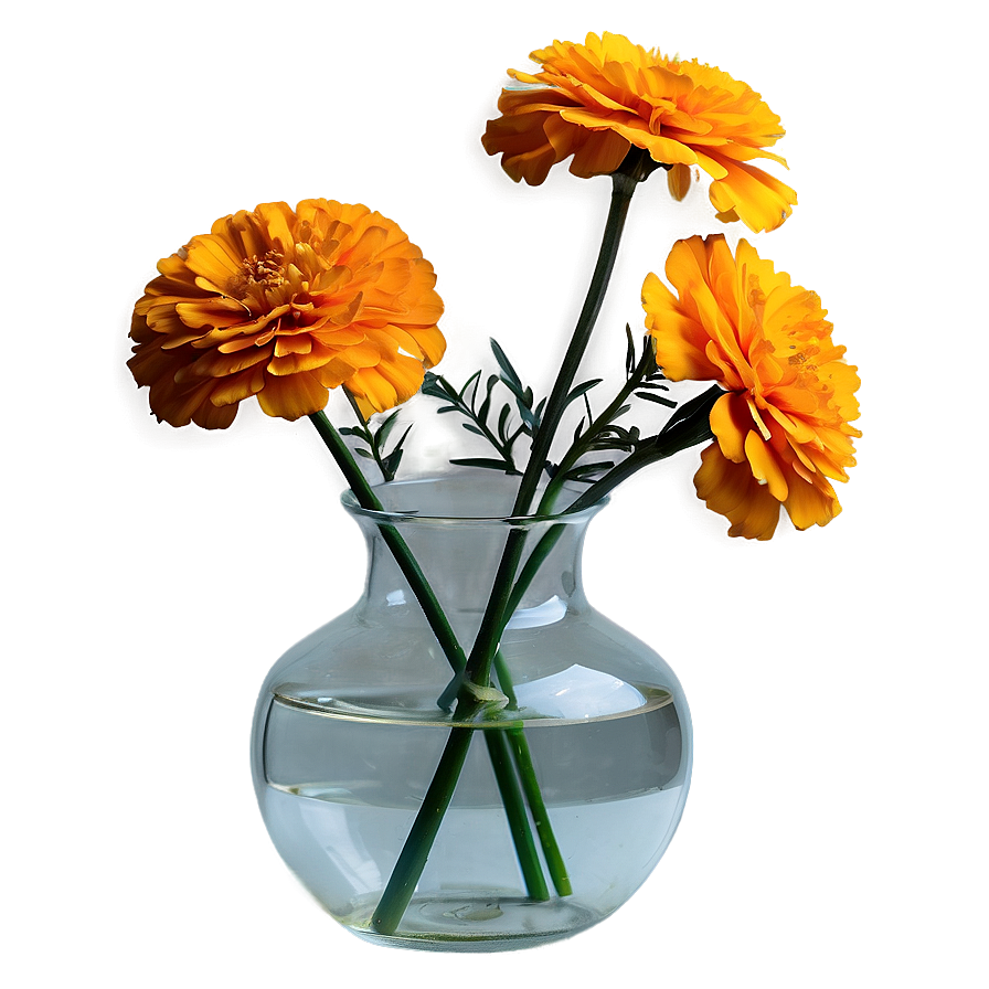 Marigold In Vase Png Jio PNG Image