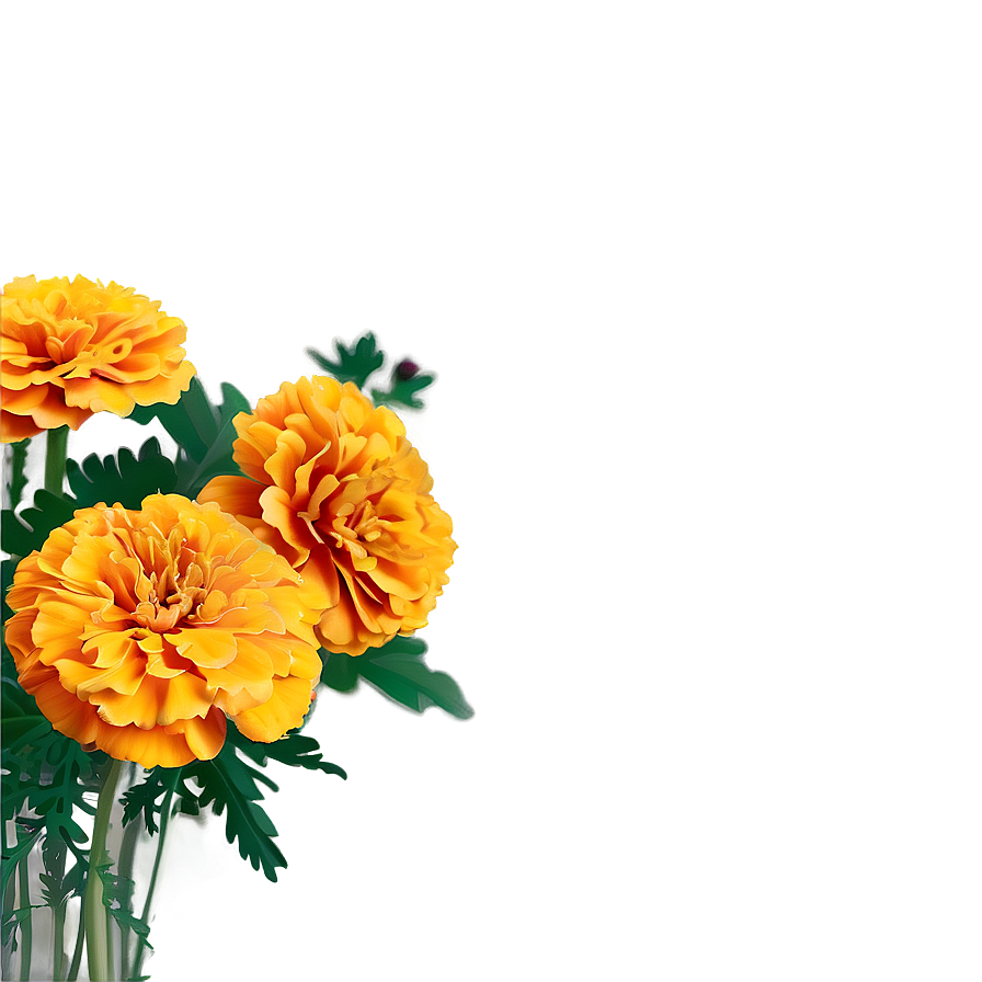 Marigold Sunshine Bouquet Png 10 PNG Image