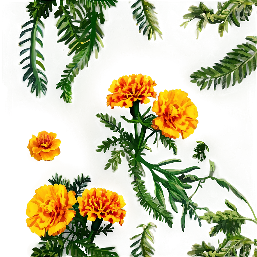 Marigolds And Greenery Png Mpb PNG Image