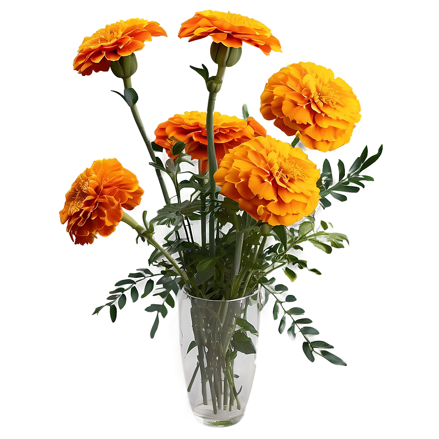 Marigolds Floral Arrangement Png Qyg22 PNG Image