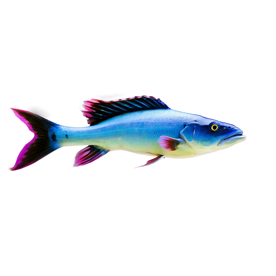 Marine Life Fish Png Dlf35 PNG Image