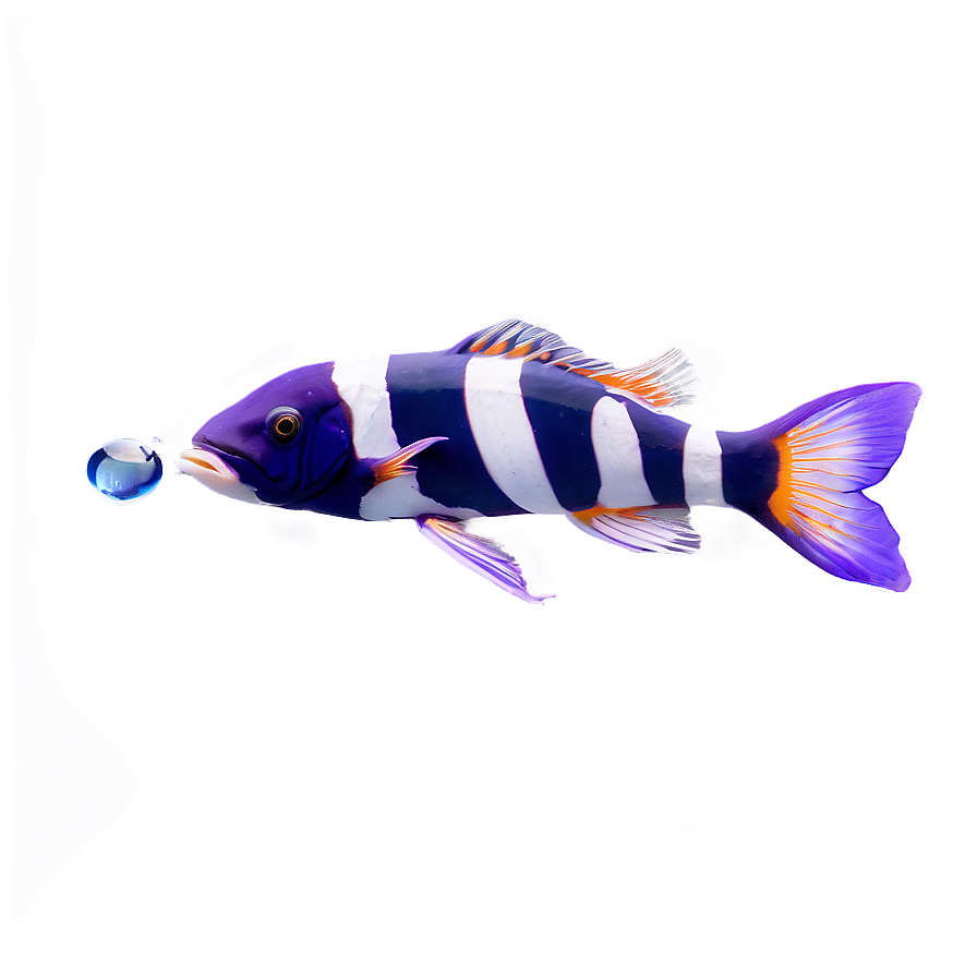 Marine Life Fish Png Ugy PNG Image