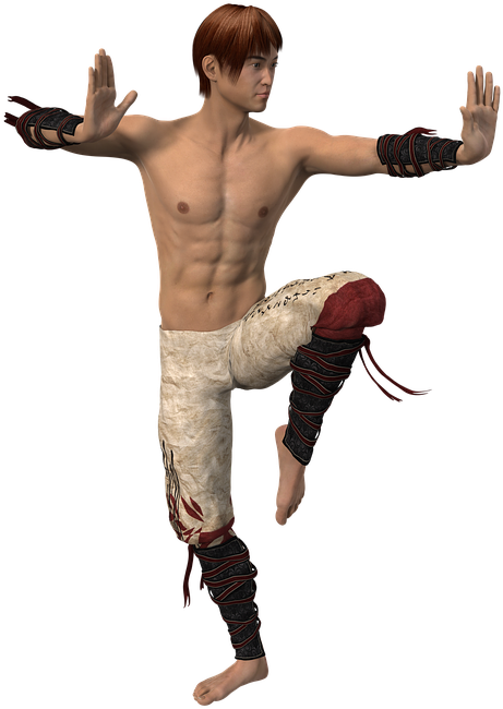 Martial_ Arts_ Stance_ Render PNG Image