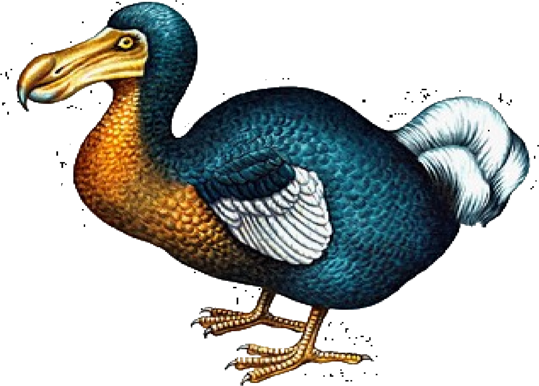 Mauritius Extinct Dodo Bird Illustration PNG Image