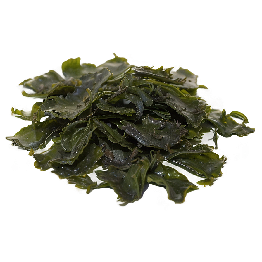 Medicinal Seaweed Products Png 05242024 PNG Image