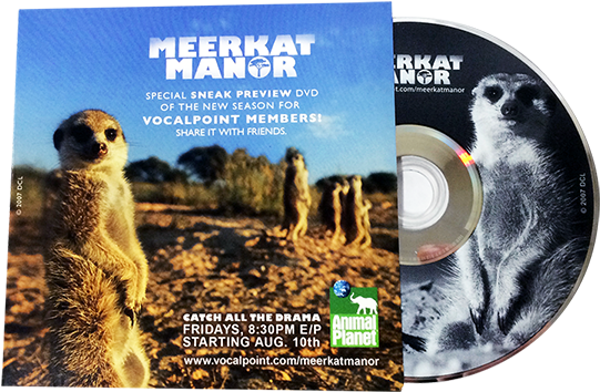 Meerkat Manor_ Promo D V D PNG Image