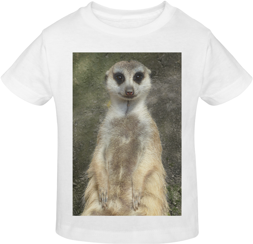 Meerkat Printed T Shirt Design PNG Image