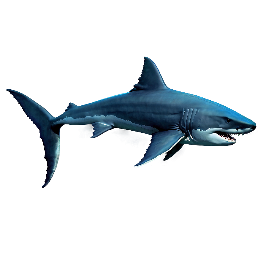 Megalodon In Ocean Background Png 33 PNG Image