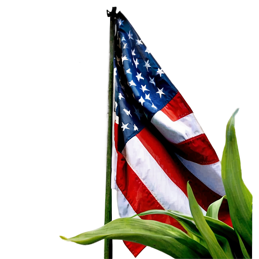 Memorial Day Tribute Png 30 PNG Image