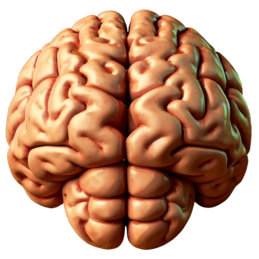 Mental Strength Brain Emoji Png 06132024 PNG Image