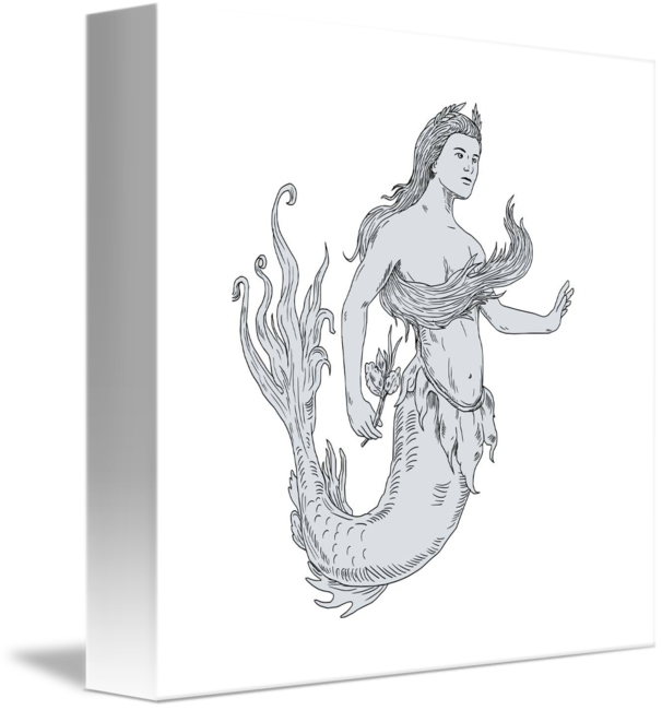 Mermaid Sketch Artwork PNG Image