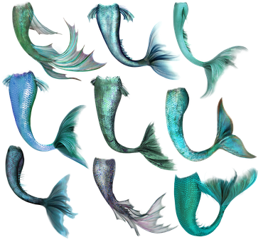 Mermaid Tail Collection Digital Art PNG Image