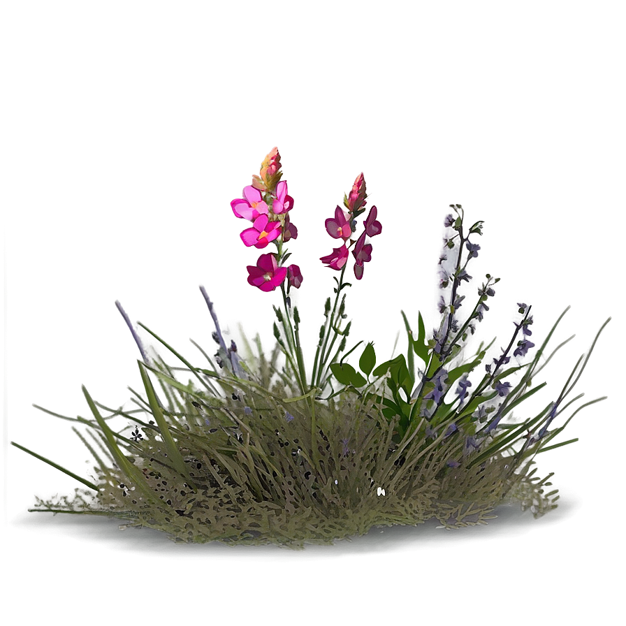 Mesa With Wildflowers Png Vyi34 PNG Image