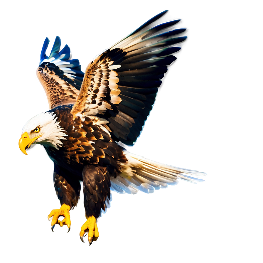 Mexican Eagle In Flight Png Ymh54 PNG Image