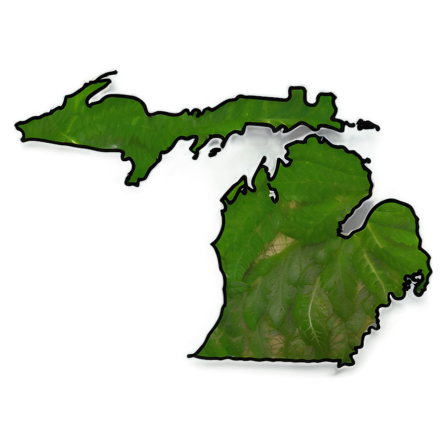 Michigan Outline C PNG Image