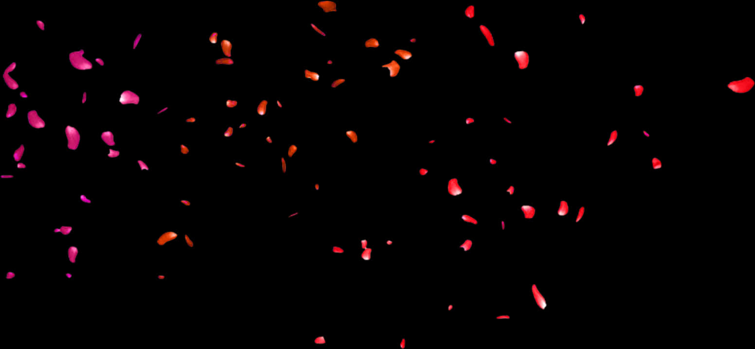 Midnight_ Rose_ Petals_ Fall PNG Image