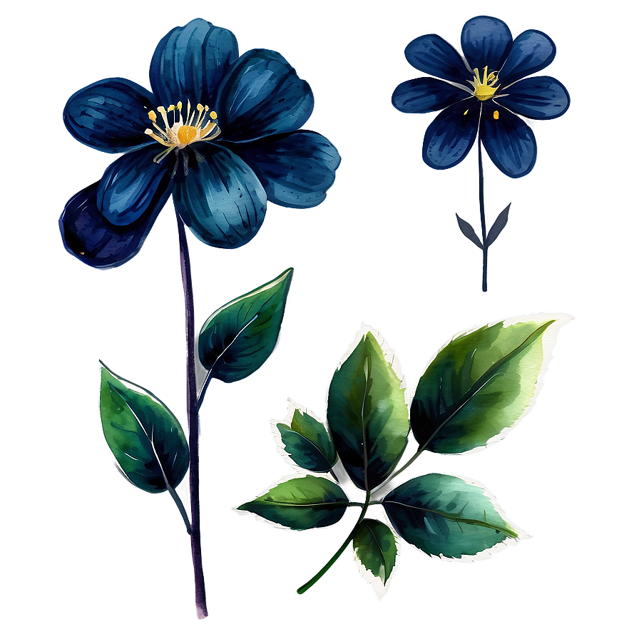 Midnight Watercolor Flower Png Aym PNG Image