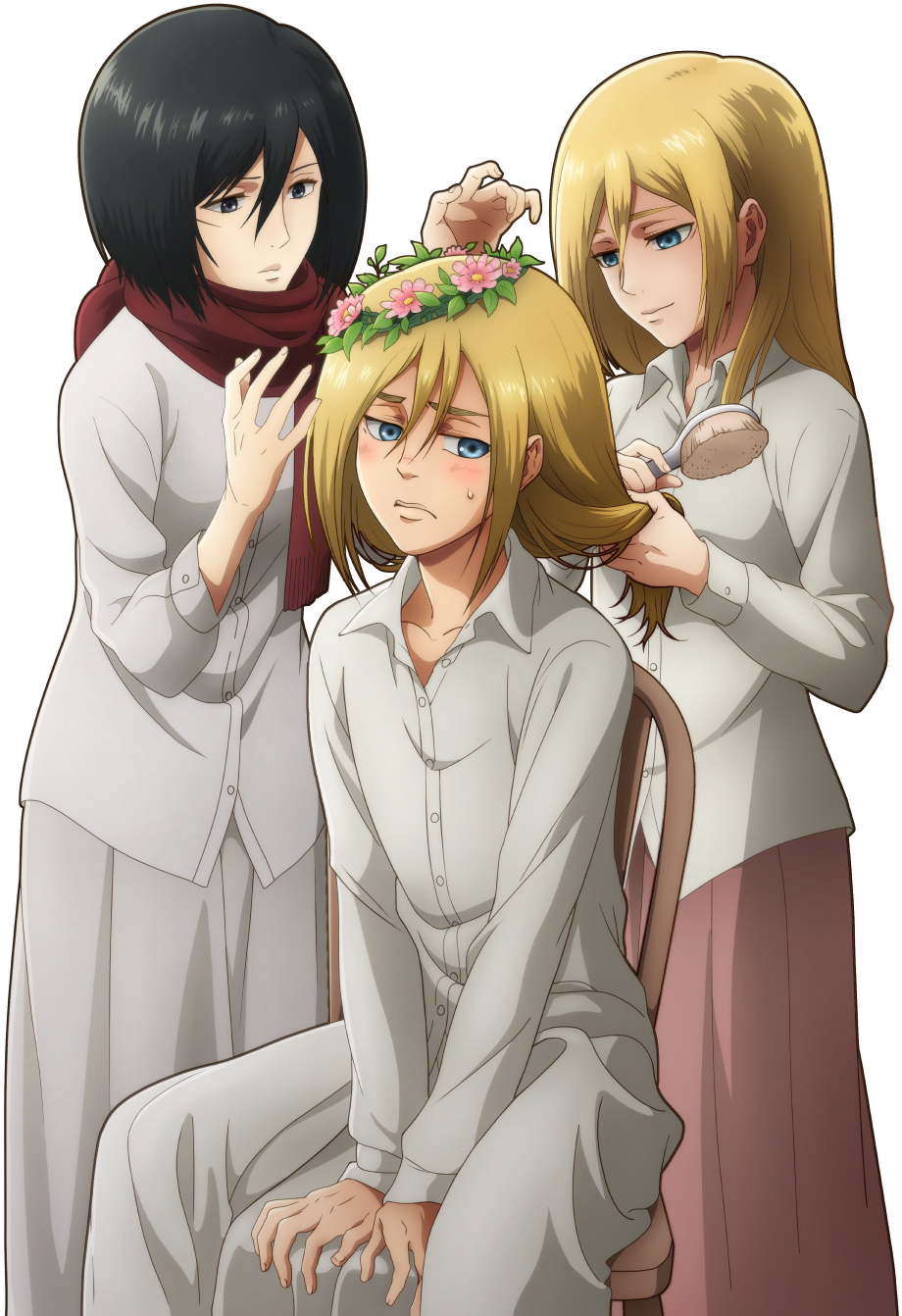 Mikasa_and_ Friends_ Grooming_ Session PNG Image