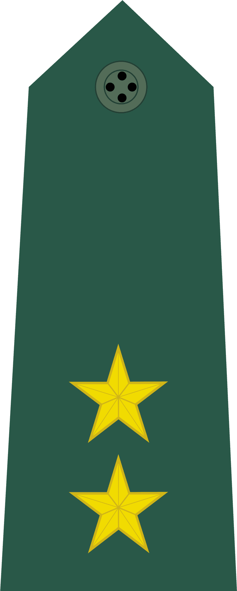 Military Epaulettewith Two Stars PNG Image