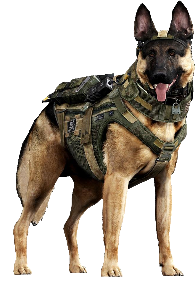 Military German Shepherdin Tactical Gear PNG Image