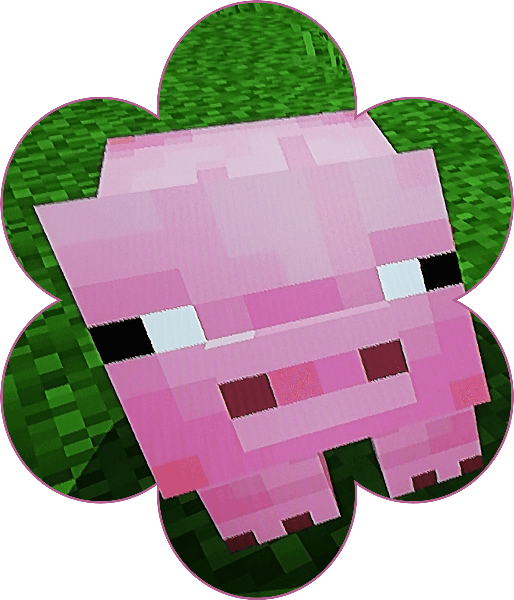 #minecraft #pig #edit - Carpet, Hd Png Download PNG Image