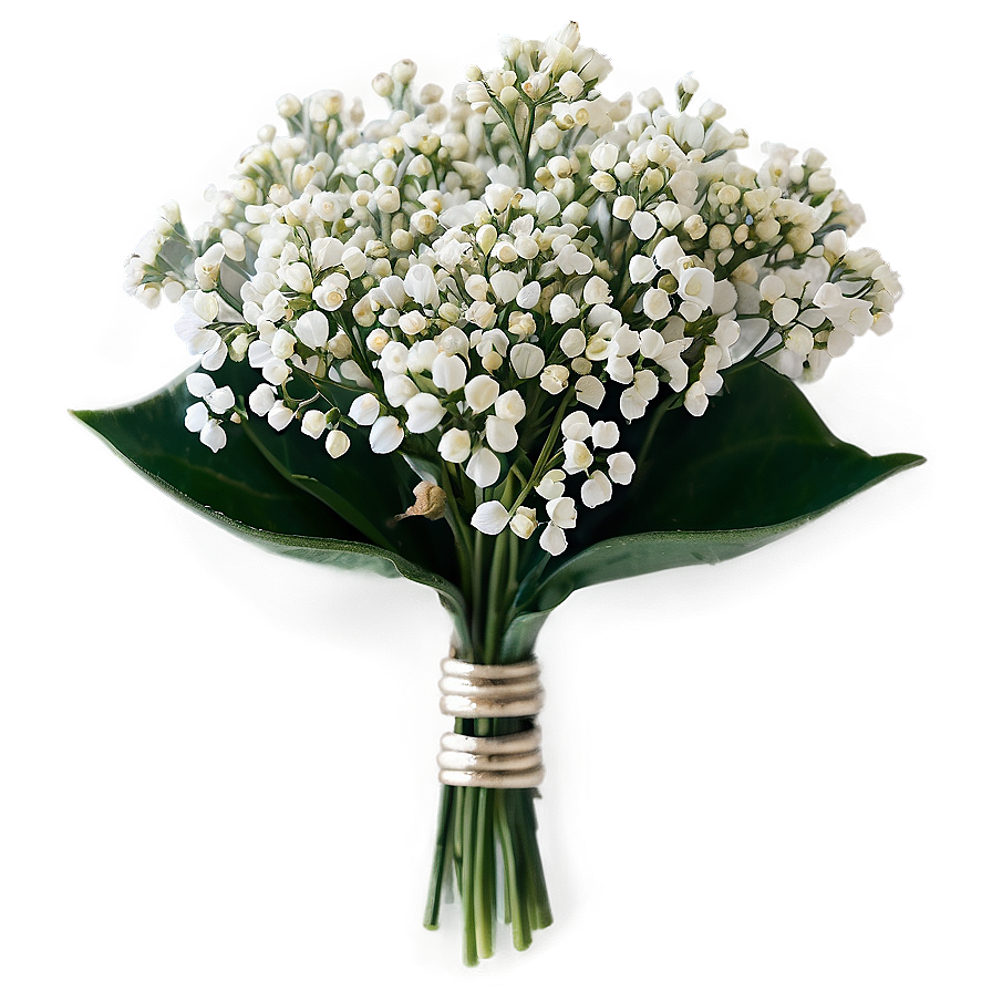 Miniature Baby's Breath Posy Png Aqn30 PNG Image