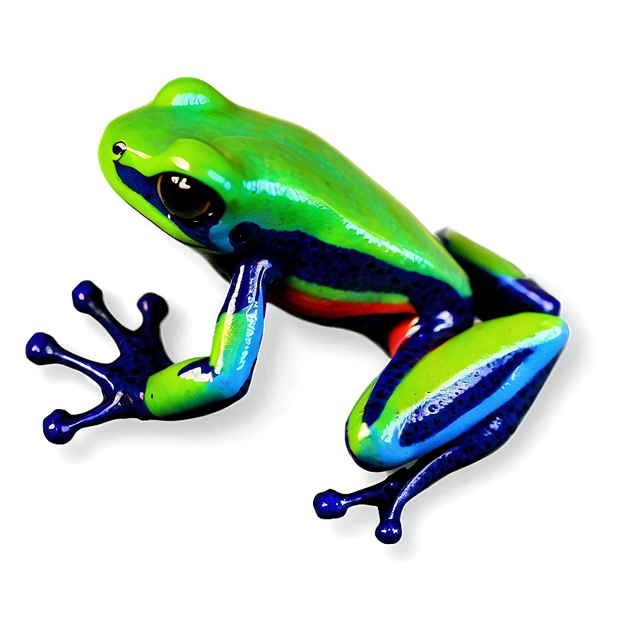 Miniature Poison Dart Frog Png Tpf PNG Image