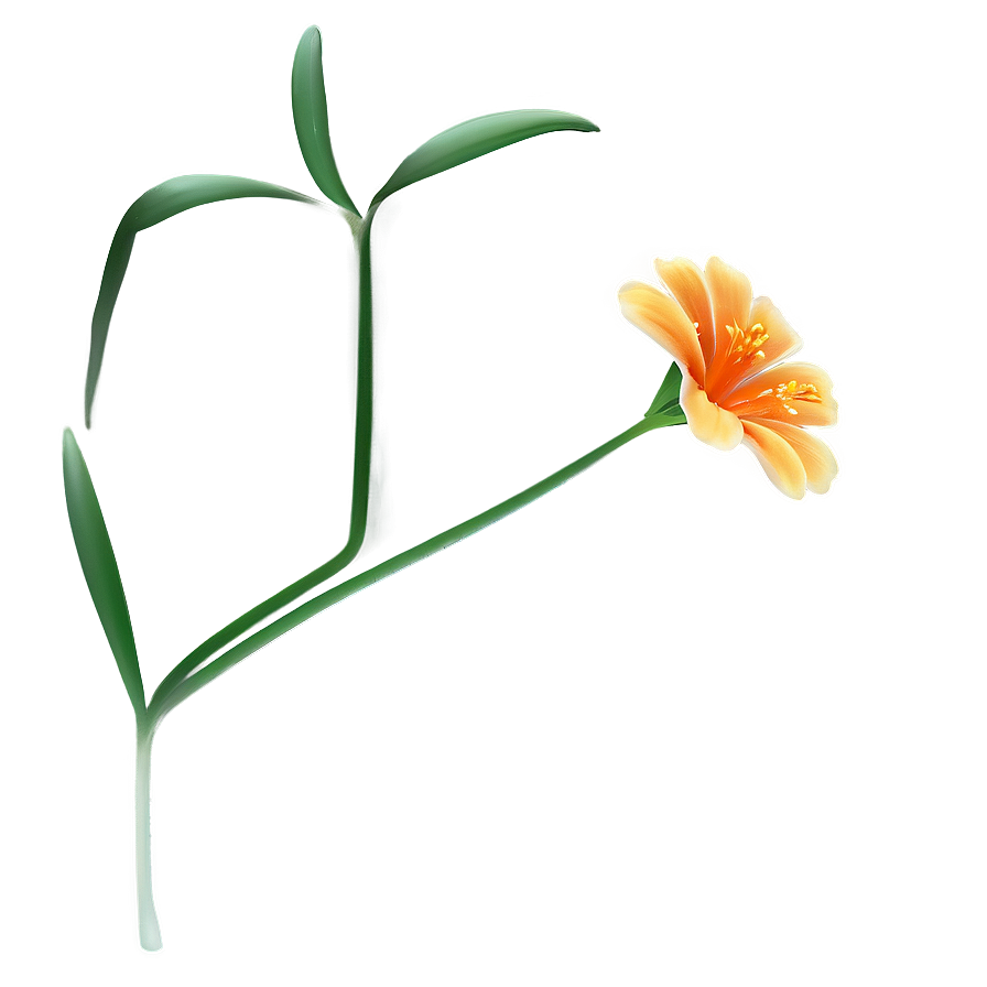 Minimal Orange Flower Png Lvh6 PNG Image