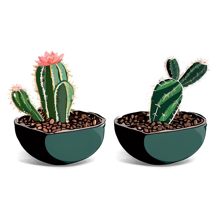 Minimalist Cactus Png Exv PNG Image