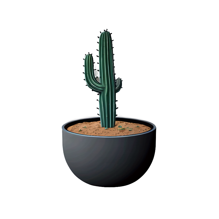 Minimalist Cactus Png Mjm82 PNG Image