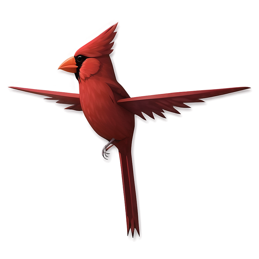 Minimalist Cardinal Design Png 23 PNG Image