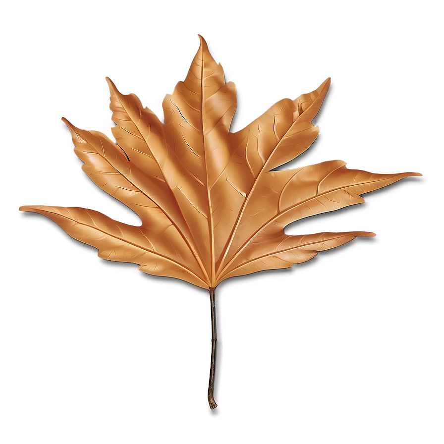 Minimalist Fall Leaf Png Yqe PNG Image