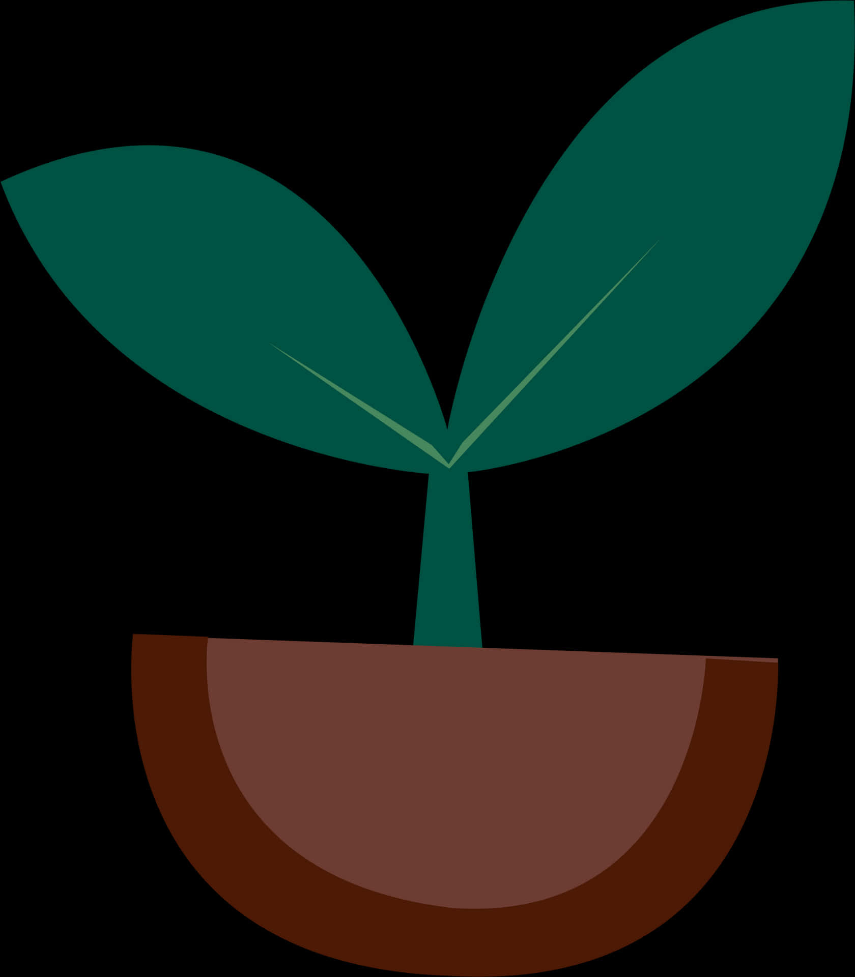 Minimalist Potted Plant Illustration PNG Image