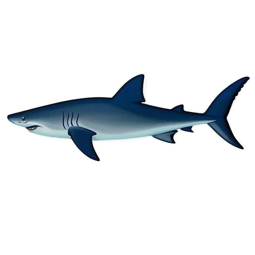 Minimalist Shark Design Png 05032024 PNG Image