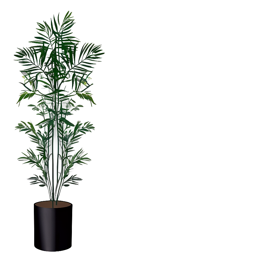 Minimalist Tall Plant Png 06282024 PNG Image