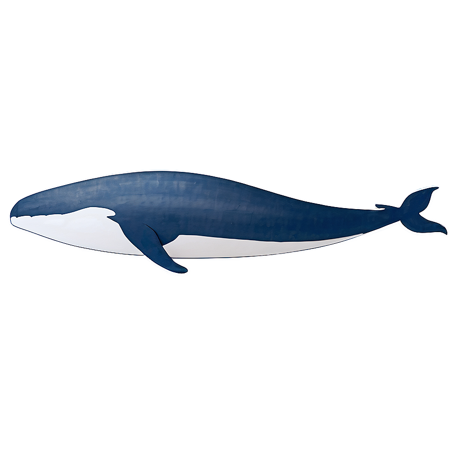 Minimalist Whale Png Bvh PNG Image