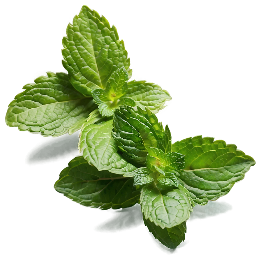 Mint Leaf Ingredient Png 96 PNG Image