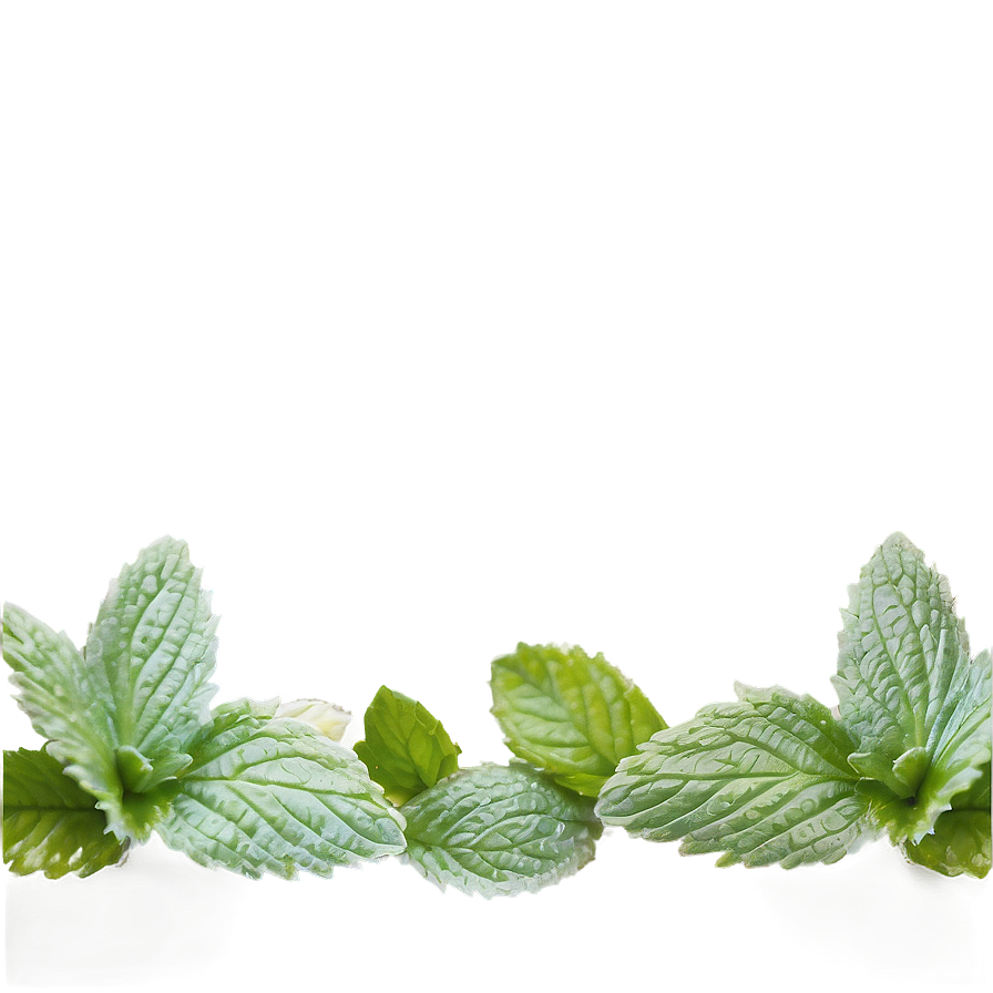 Mint Leaves Border Png 58 PNG Image