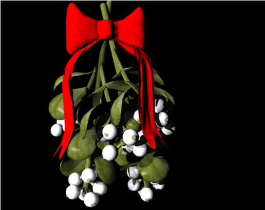 Mistletoe With Red Bow PNG Image