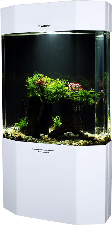 Modern Aquarium Setup PNG Image