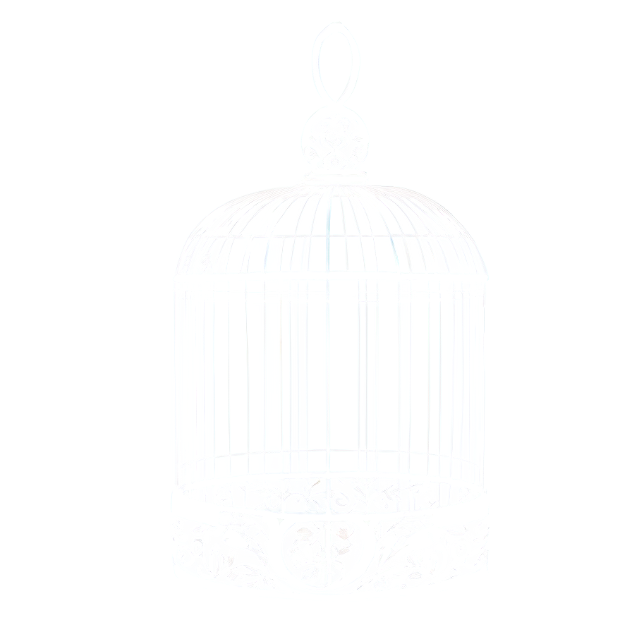 Modern Birdcage Art Png Kil85 PNG Image