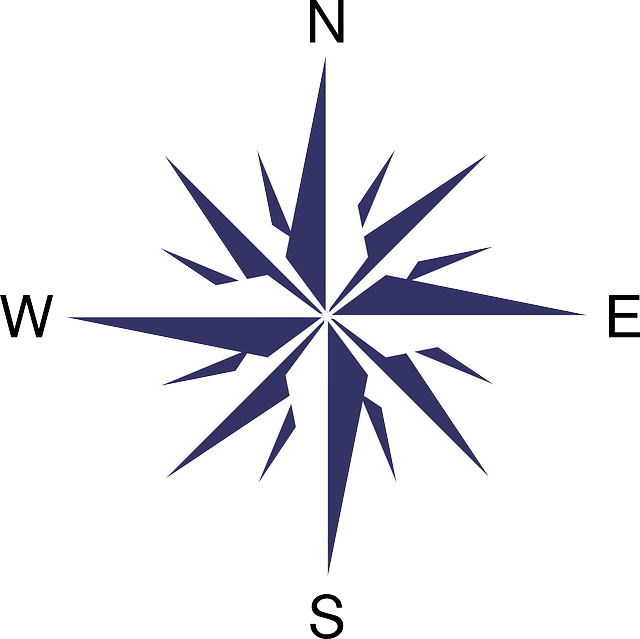 Modern Compass Rose Graphic PNG Image