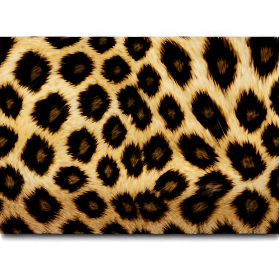 Modern Leopard Print Png 05212024 PNG Image