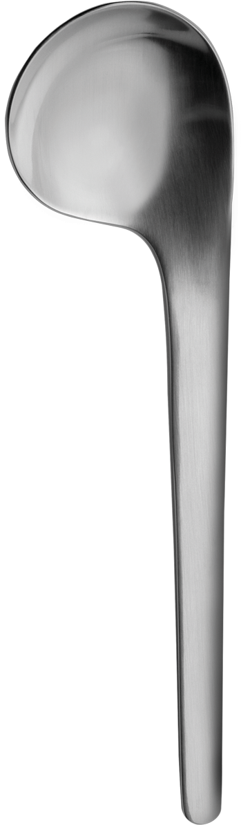 Modern Stainless Steel Spoon PNG Image