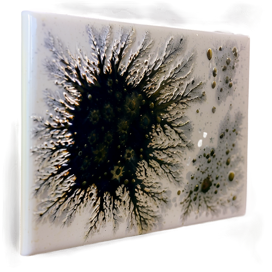 Mold Stain Png Ksm PNG Image