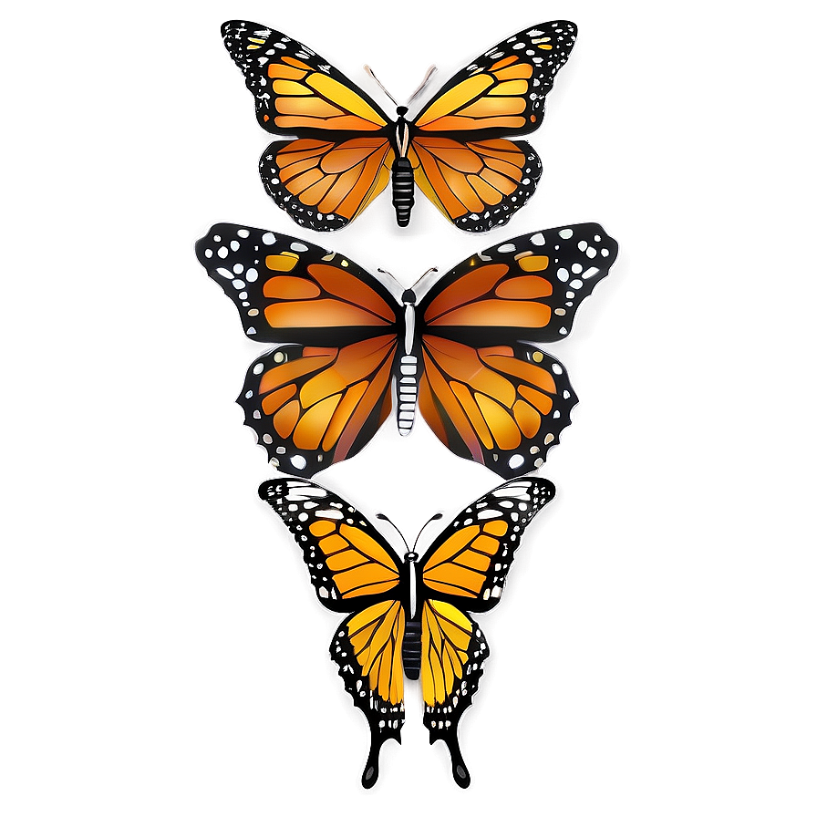 Monarch Butterflies A PNG Image