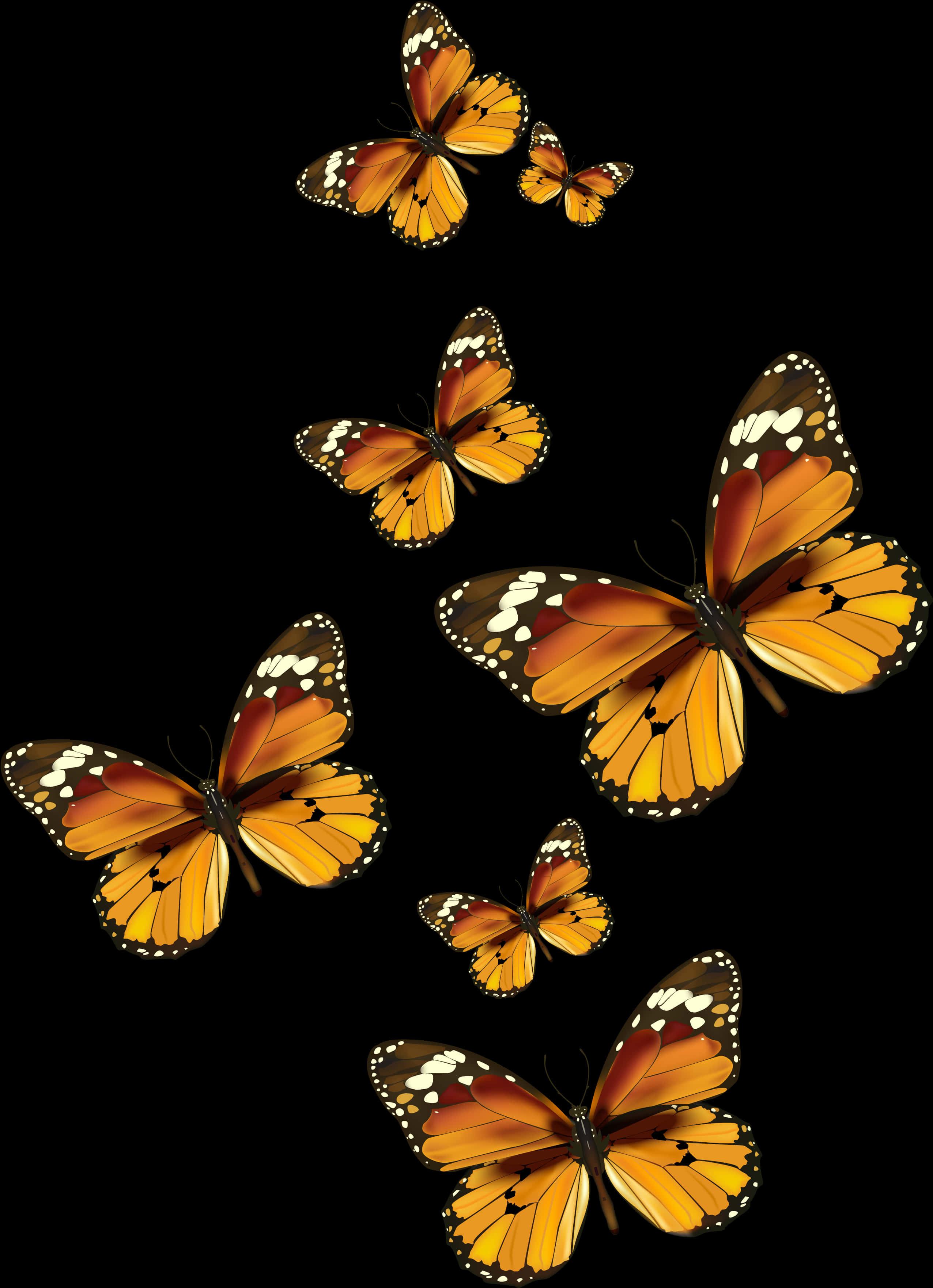 Monarch Butterflies Black Background PNG Image