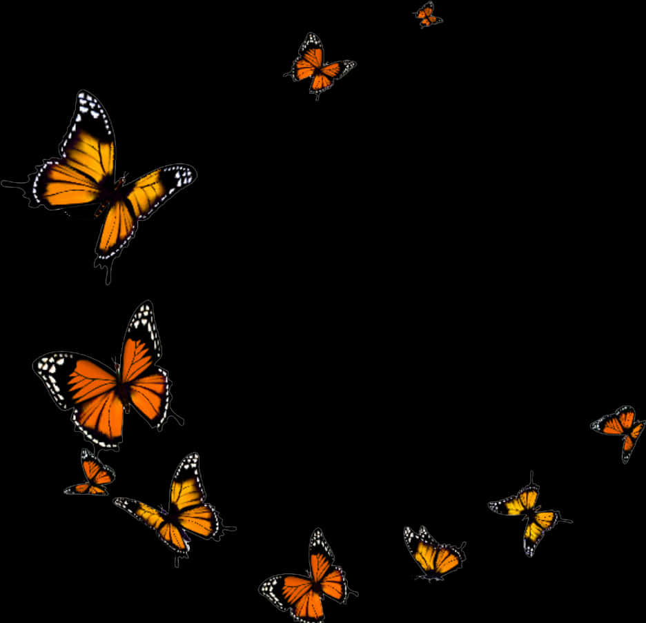 Monarch_ Butterflies_ Black_ Background PNG Image